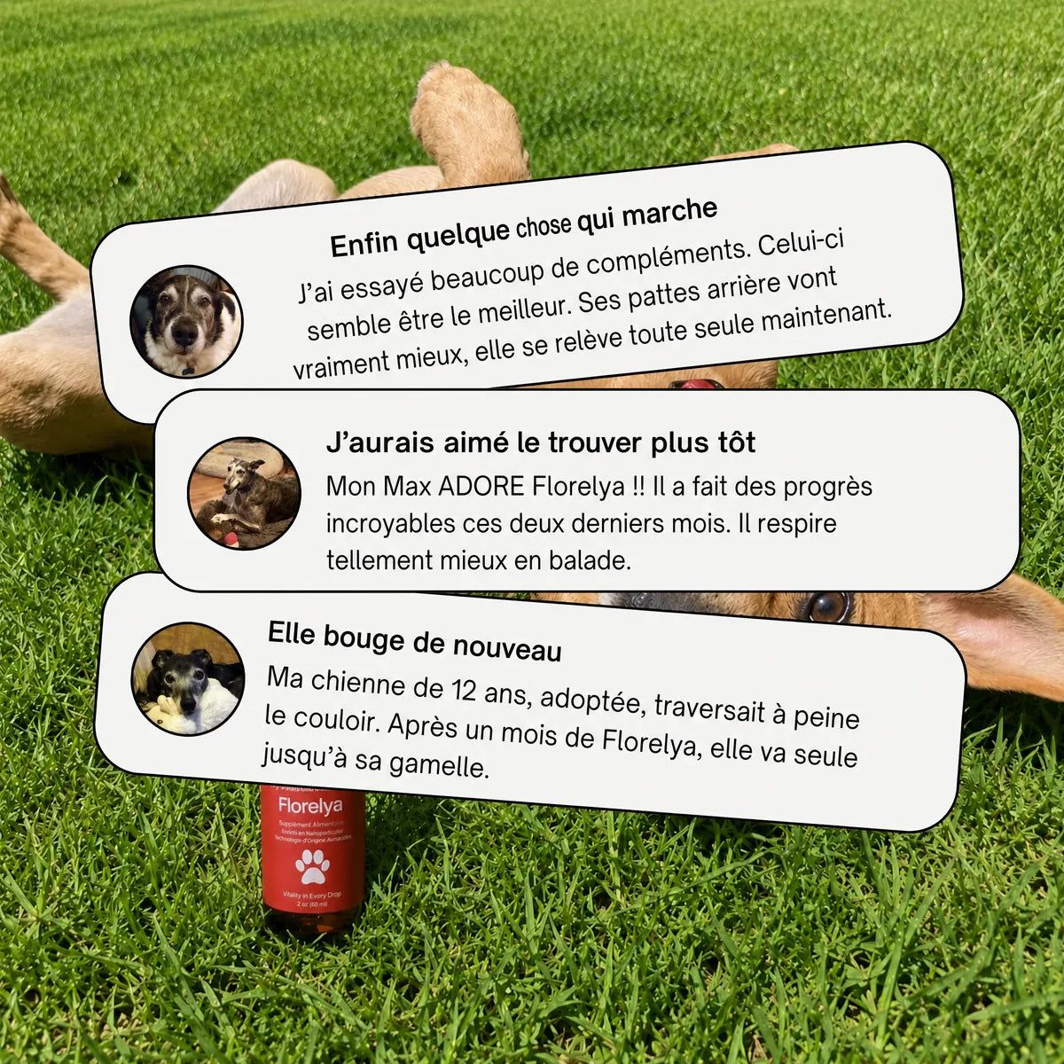 Avis de clients