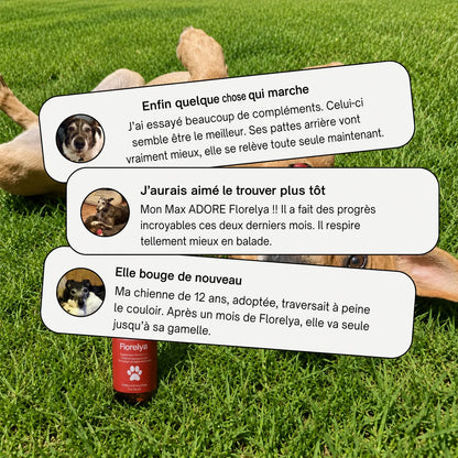 Avis de clients