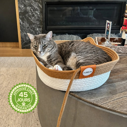 Chat gris installé dans le Panier Instinct Florelya devant la cheminée