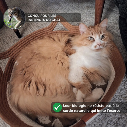 Conçu pour les instincts du chat : la corde naturelle imite l’écorce