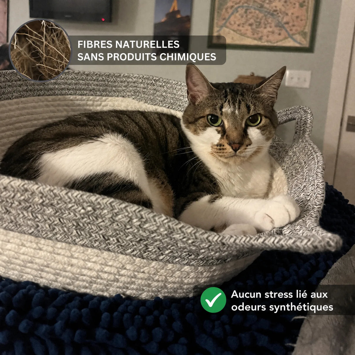 Fibres naturelles sans produits chimiques