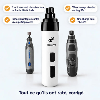 Ponceuse Florelya comparée aux autres ponceuses