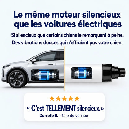 Le même moteur silencieux que les voitures électriques
