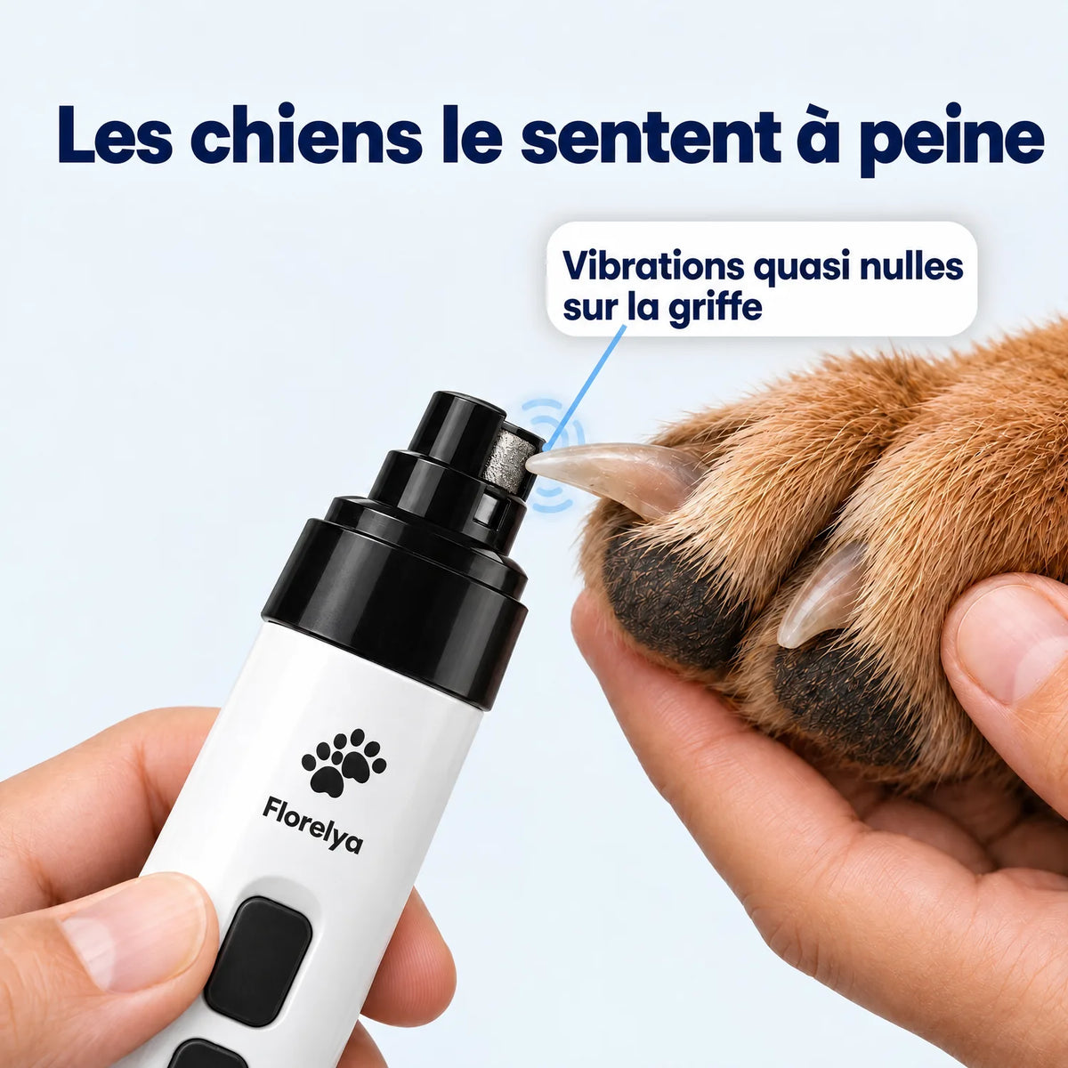 Les chiens la sentent à peine : vibrations quasi nulles