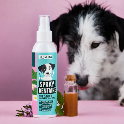 Spray Dentaire Florelya pour chien, flacon 150 ml