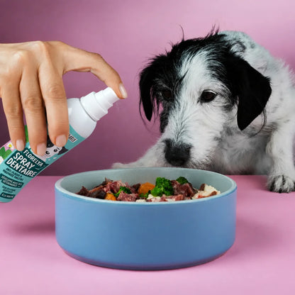 Spray Dentaire Florelya pulvérisé sur la gamelle du chien