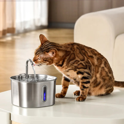 Fontaine à eau Florelya 2,2 L pour chat — Kit de santé et de bien-être