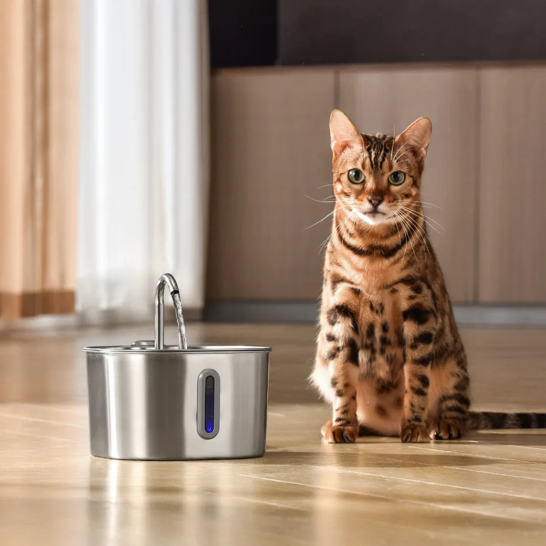 Fontaine à eau Florelya 2,2 L pour chat — Kit de santé et de bien-être