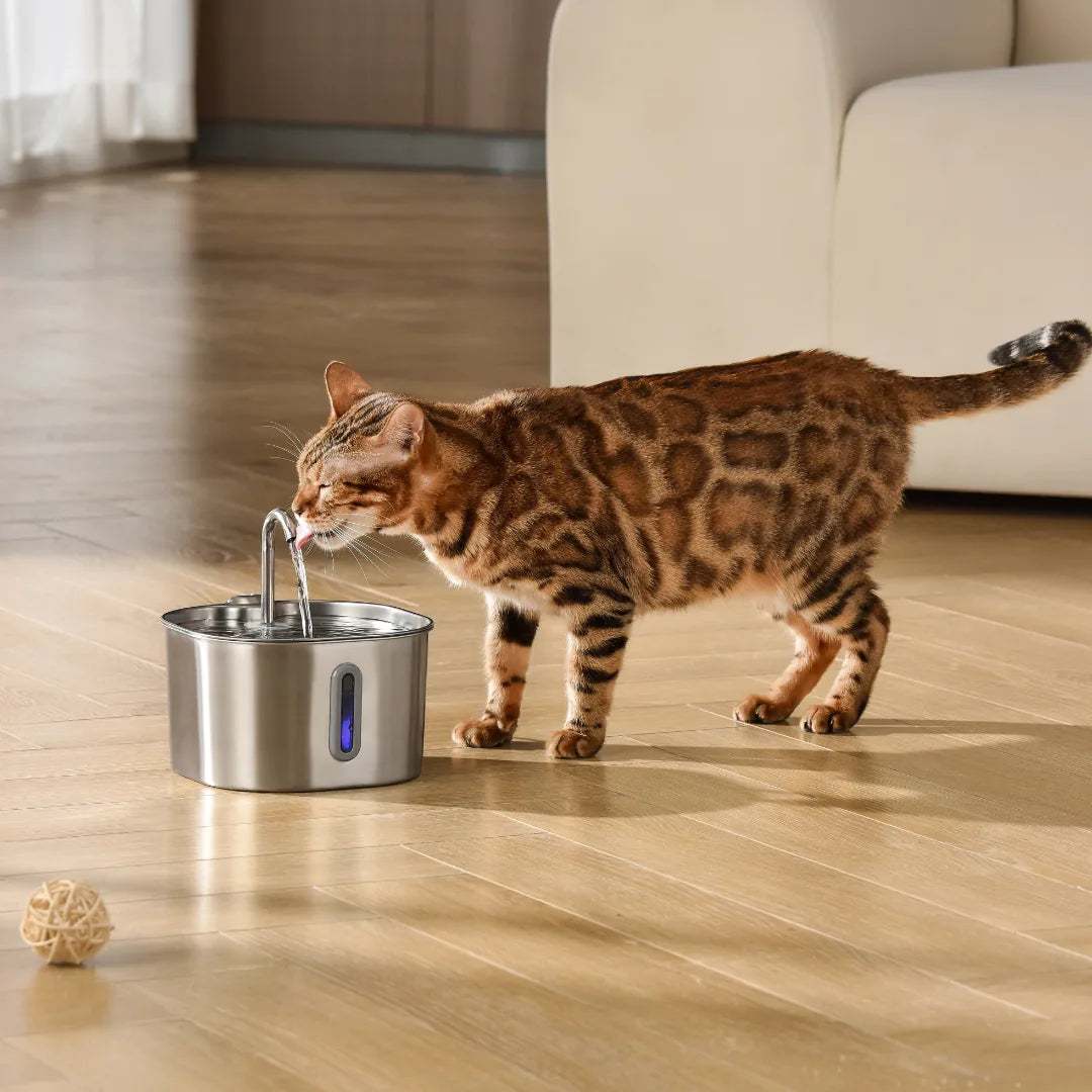 Fontaine à eau Florelya 2,2 L pour chat — Kit de santé et de bien-être