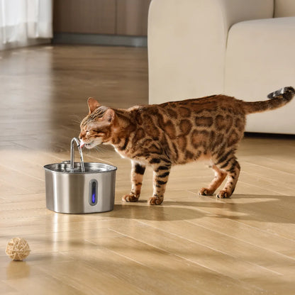 Fontaine à eau Florelya 2,2 L pour chat — Kit de santé et de bien-être