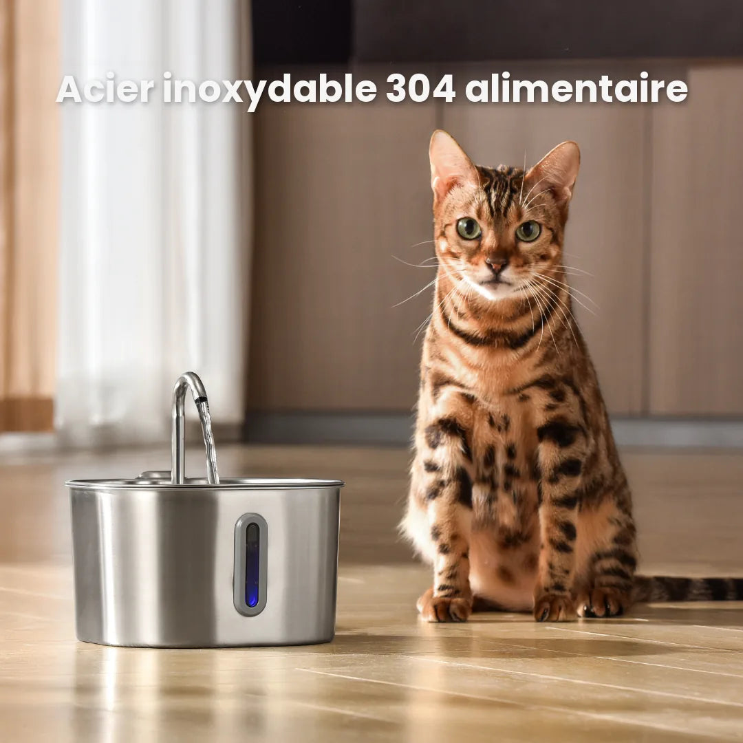 Fontaine à eau Florelya 2,2 L pour chat — Kit de santé et de bien-être