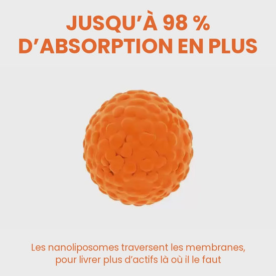 Jusqu’à 98 % d’absorption en plus : les nanoliposomes