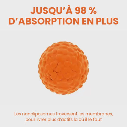 Jusqu’à 98 % d’absorption en plus : les nanoliposomes