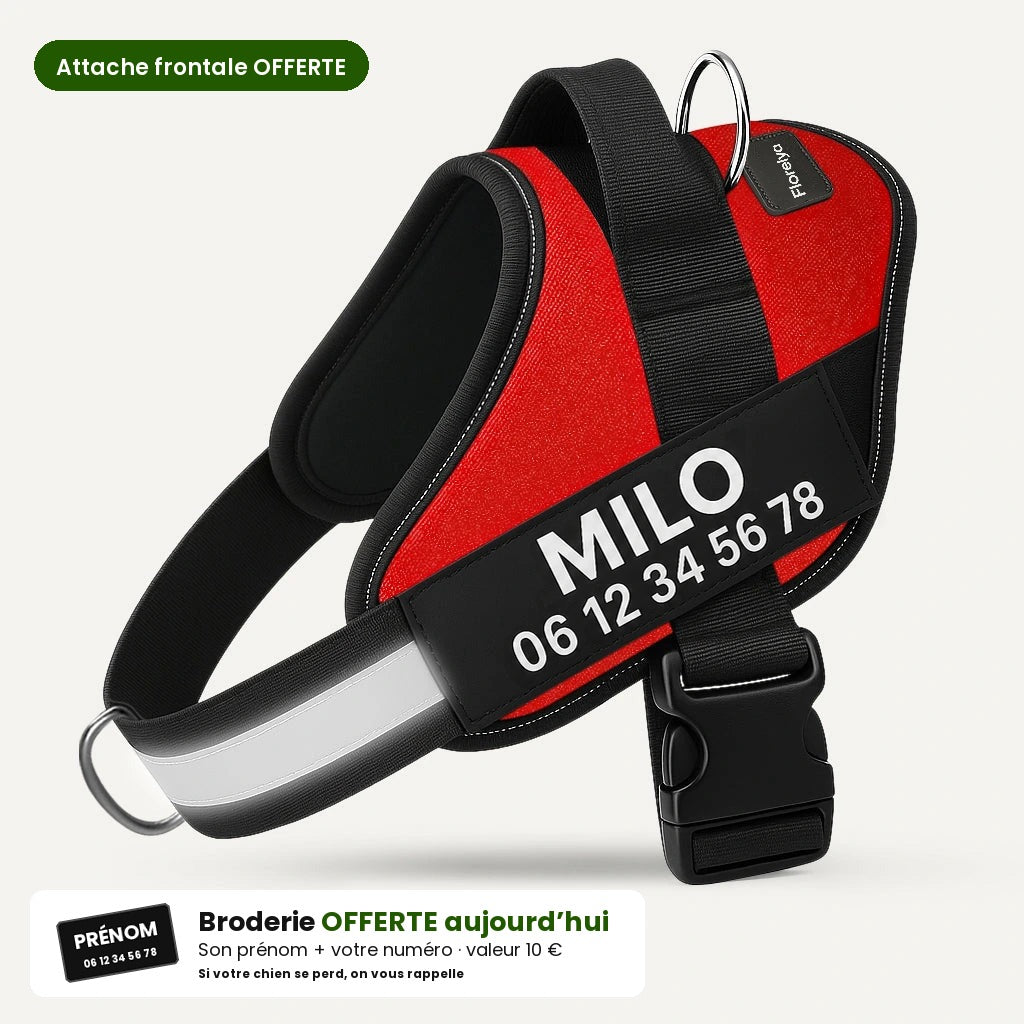 Rouge